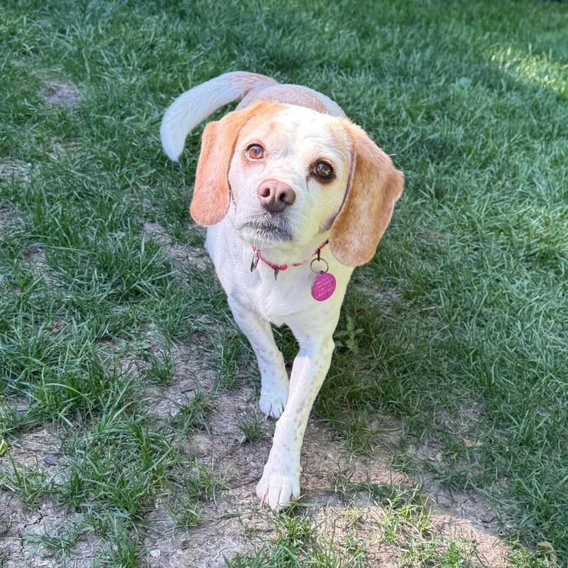 Maggie thumbnail 4