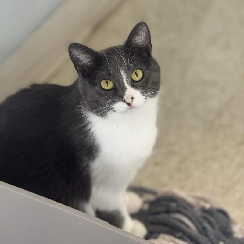 Gaia thumbnail 2