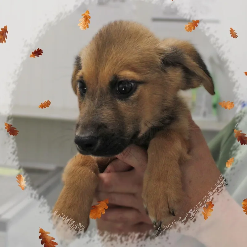Wyatt thumbnail 2