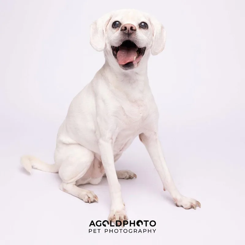 Lucky  M thumbnail 2