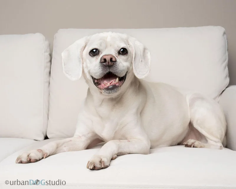 Lucky  M thumbnail 3