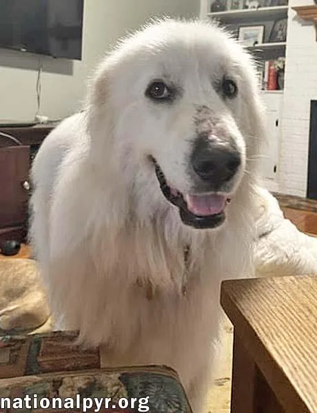 Shiloh In Sc  thumbnail 3