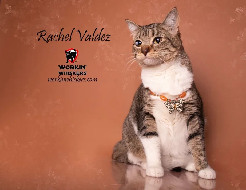 Rachel Valdez thumbnail 5