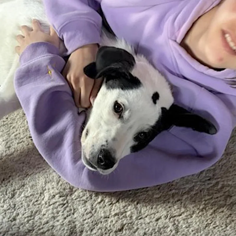 Bella thumbnail 2