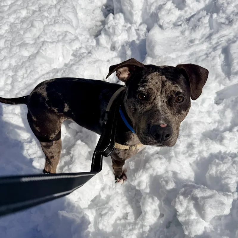 Midnight thumbnail 6