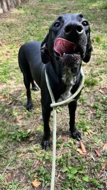 December thumbnail 2