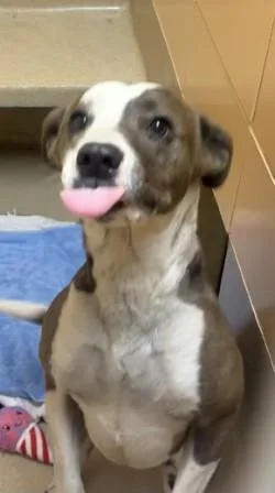 Della