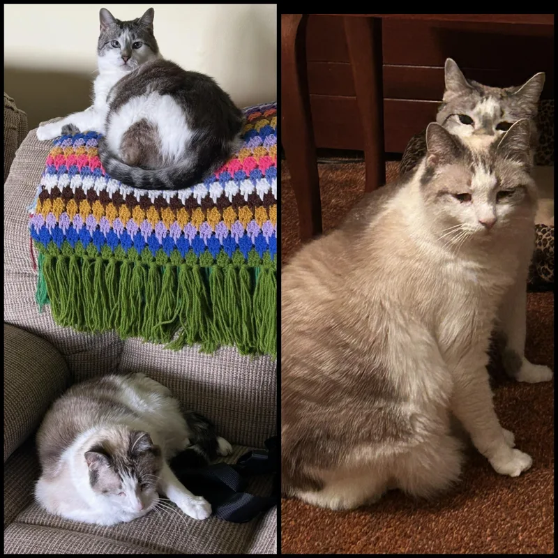 Kip & Bella