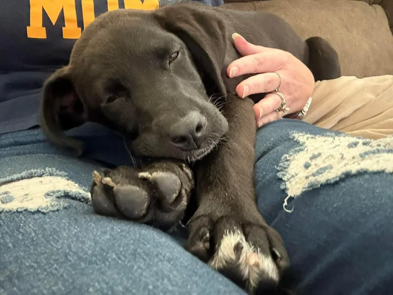 Charlotte  Cs thumbnail 3