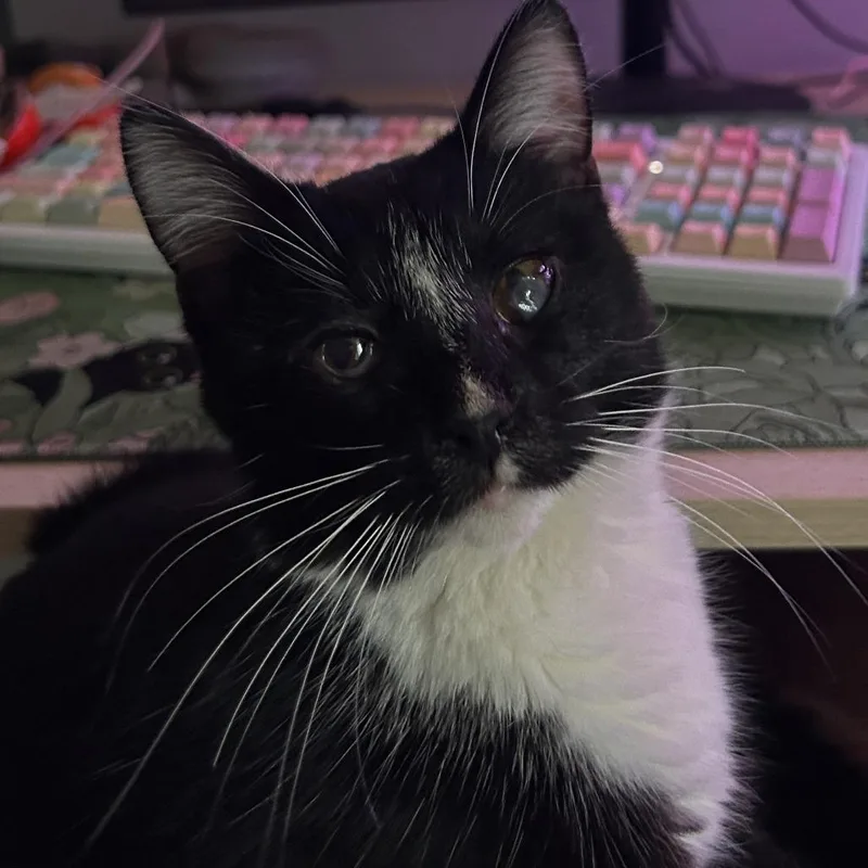 Clementine thumbnail 2