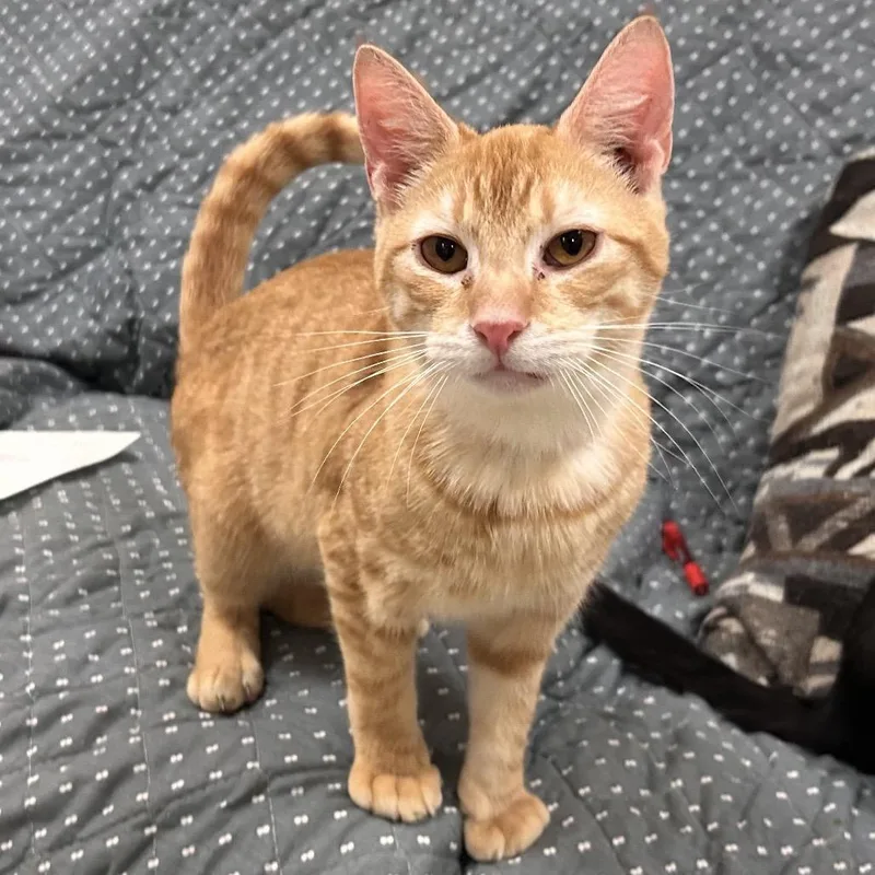 Charlie