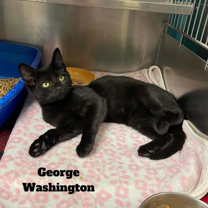 George Washington