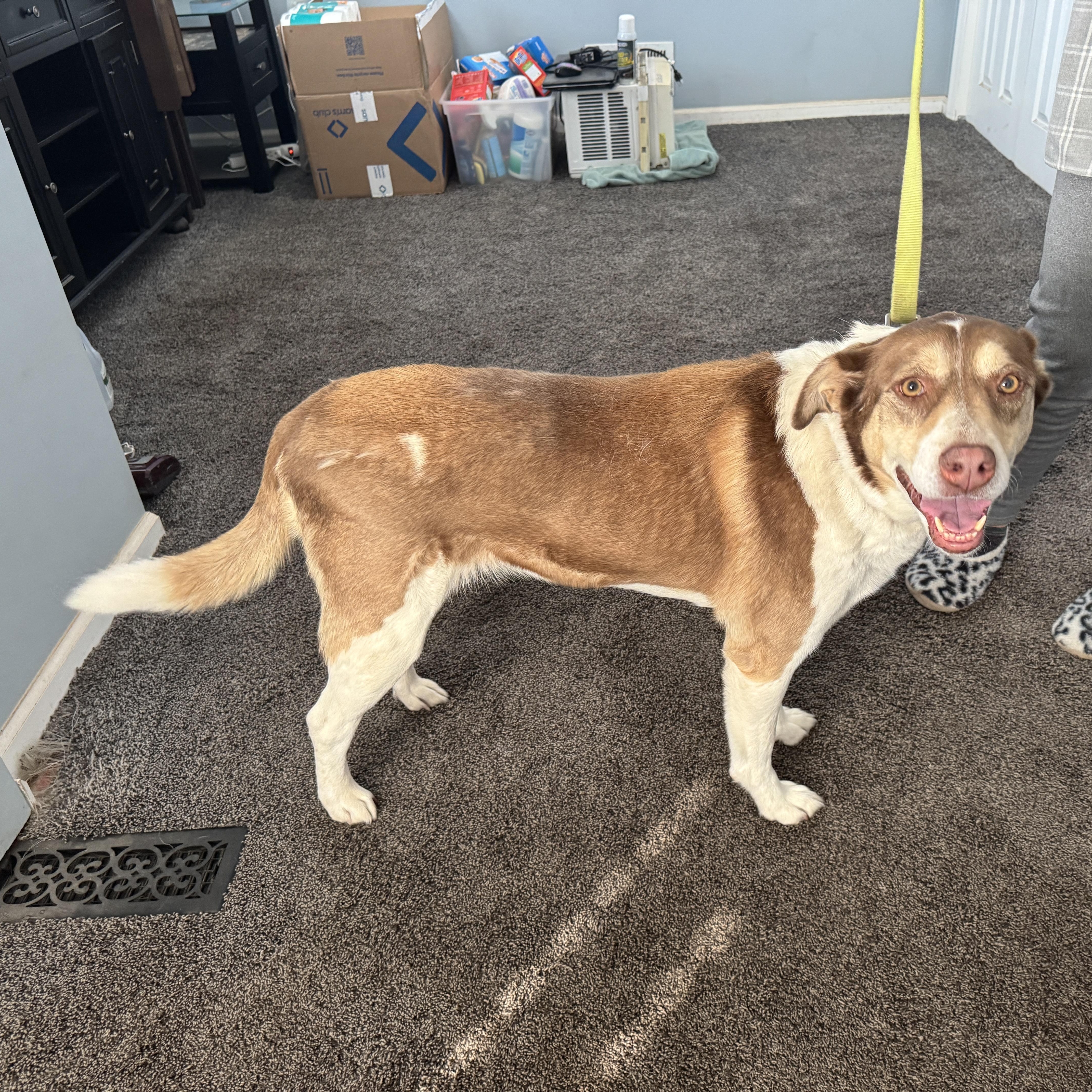 Meet Maggie She Loves thumbnail 3