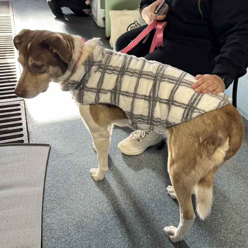 Meet Maggie She Loves thumbnail 4