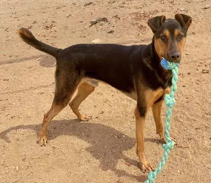 Space Jam thumbnail 2