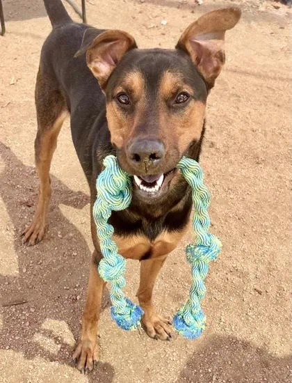 Space Jam thumbnail 3