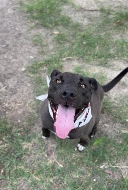 Remi