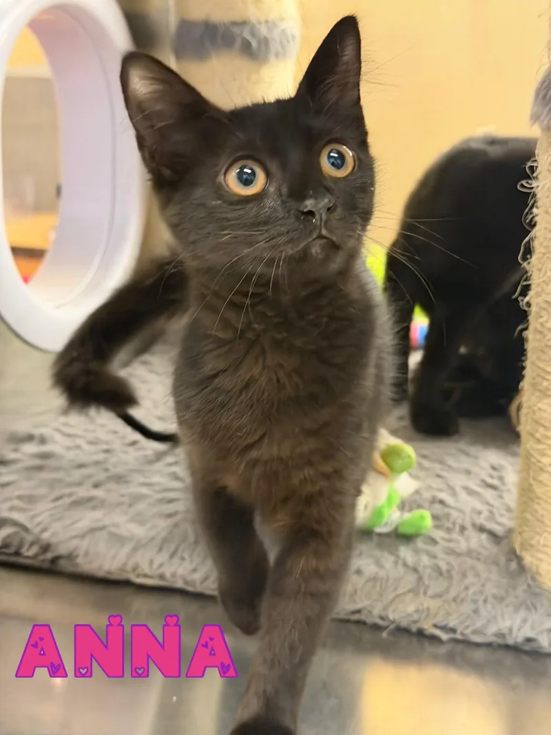 Anna thumbnail 3