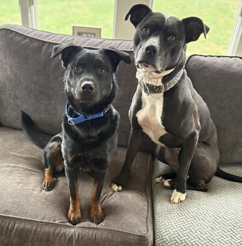 Seamus Ronan thumbnail 2