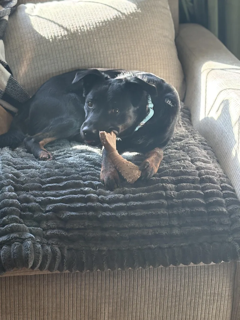 Seamus Ronan thumbnail 5