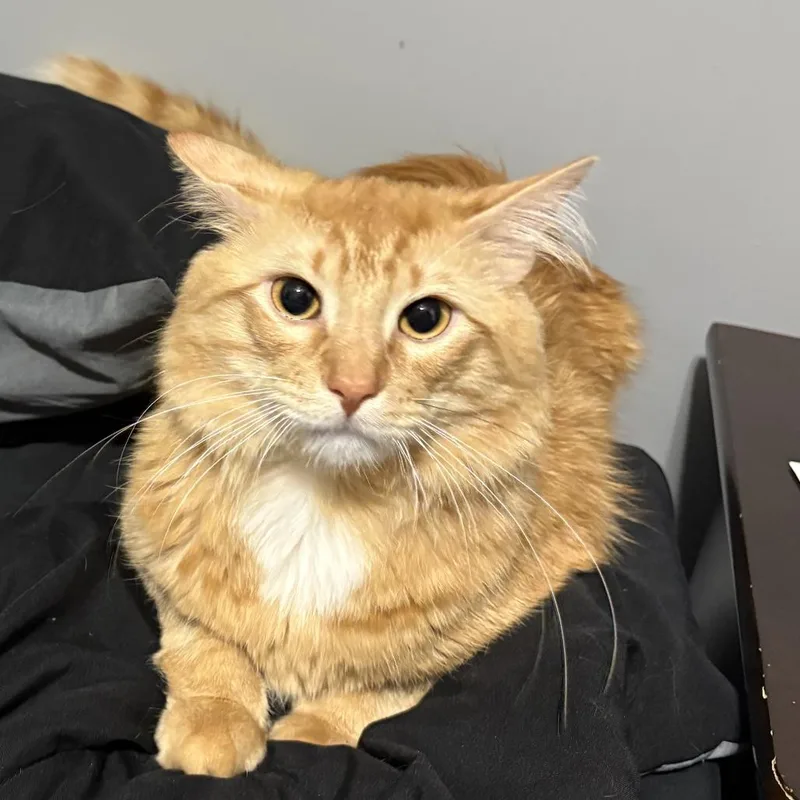 Butters  Home to thumbnail 2