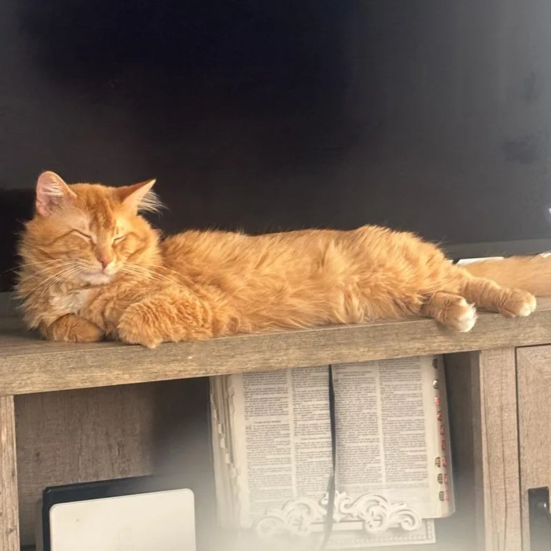 Butters  Home to thumbnail 3