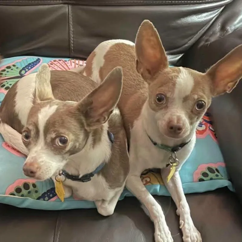 Grayson & Yoda