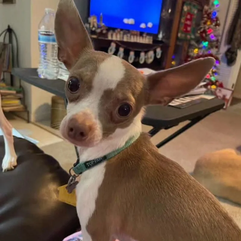 Grayson & Yoda thumbnail 4