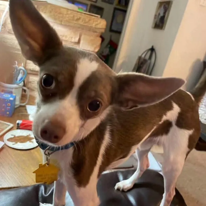 Grayson & Yoda thumbnail 5