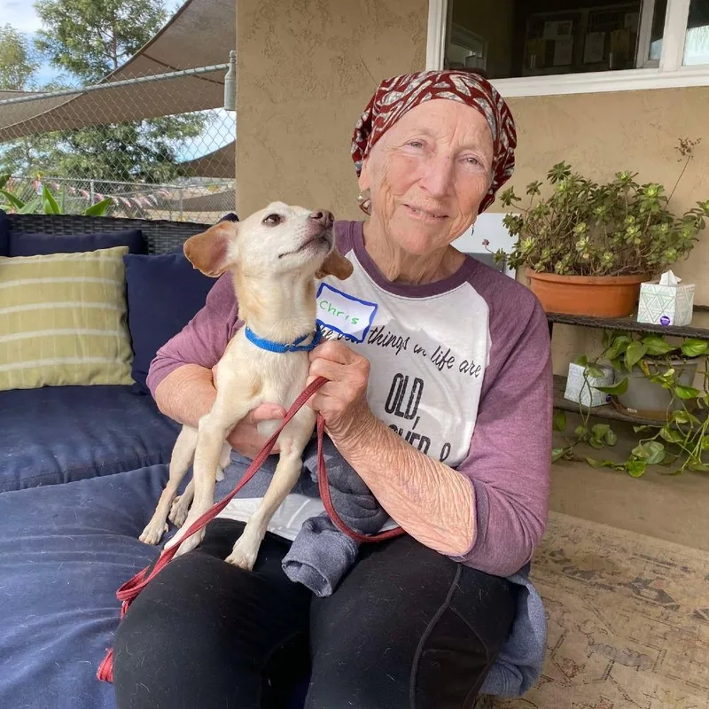 Mochi Milkshake thumbnail 5