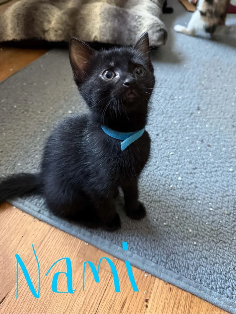 Nami
