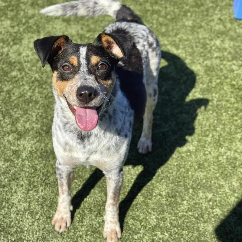 Karen Wheeler thumbnail 2