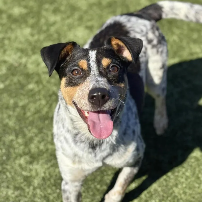 Karen Wheeler thumbnail 3