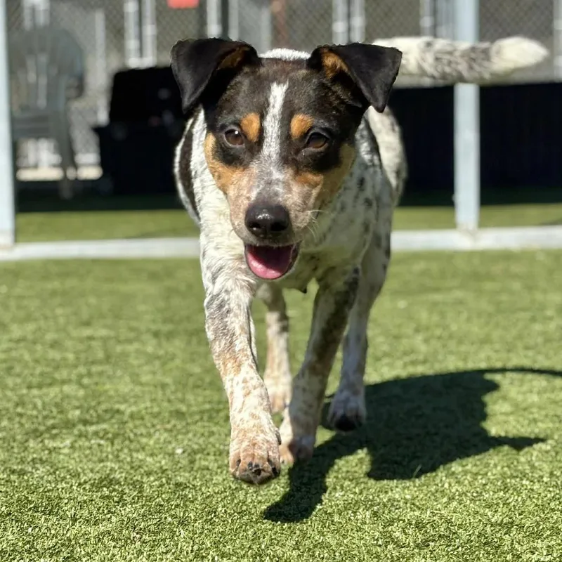 Karen Wheeler thumbnail 4