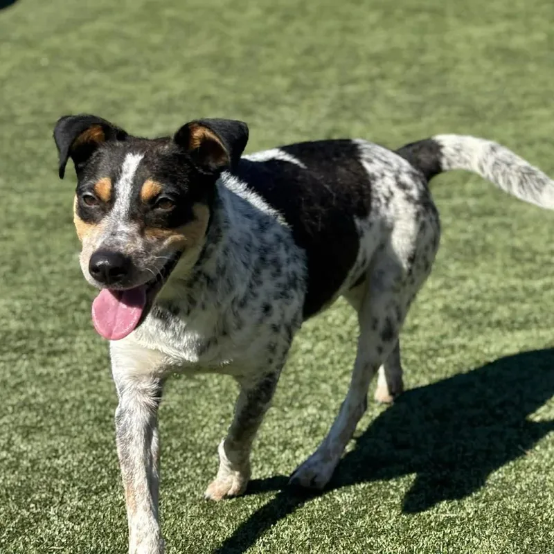 Karen Wheeler thumbnail 5