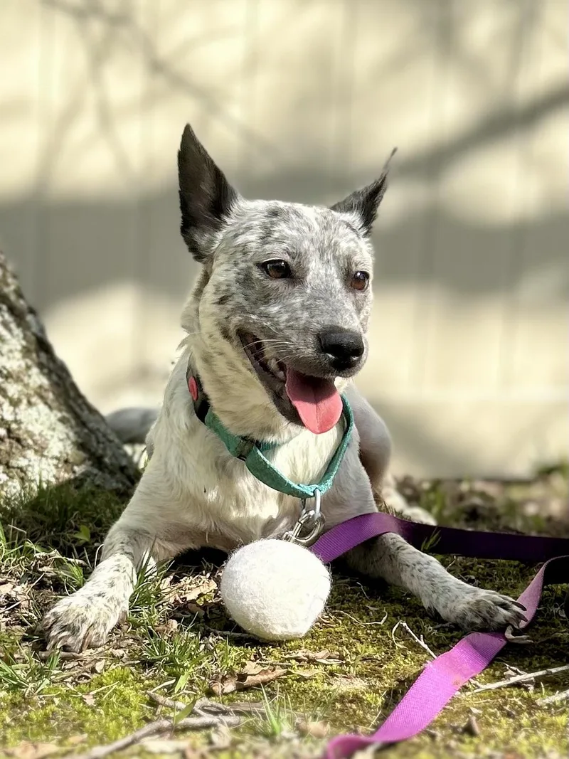 Mama Mya thumbnail 2