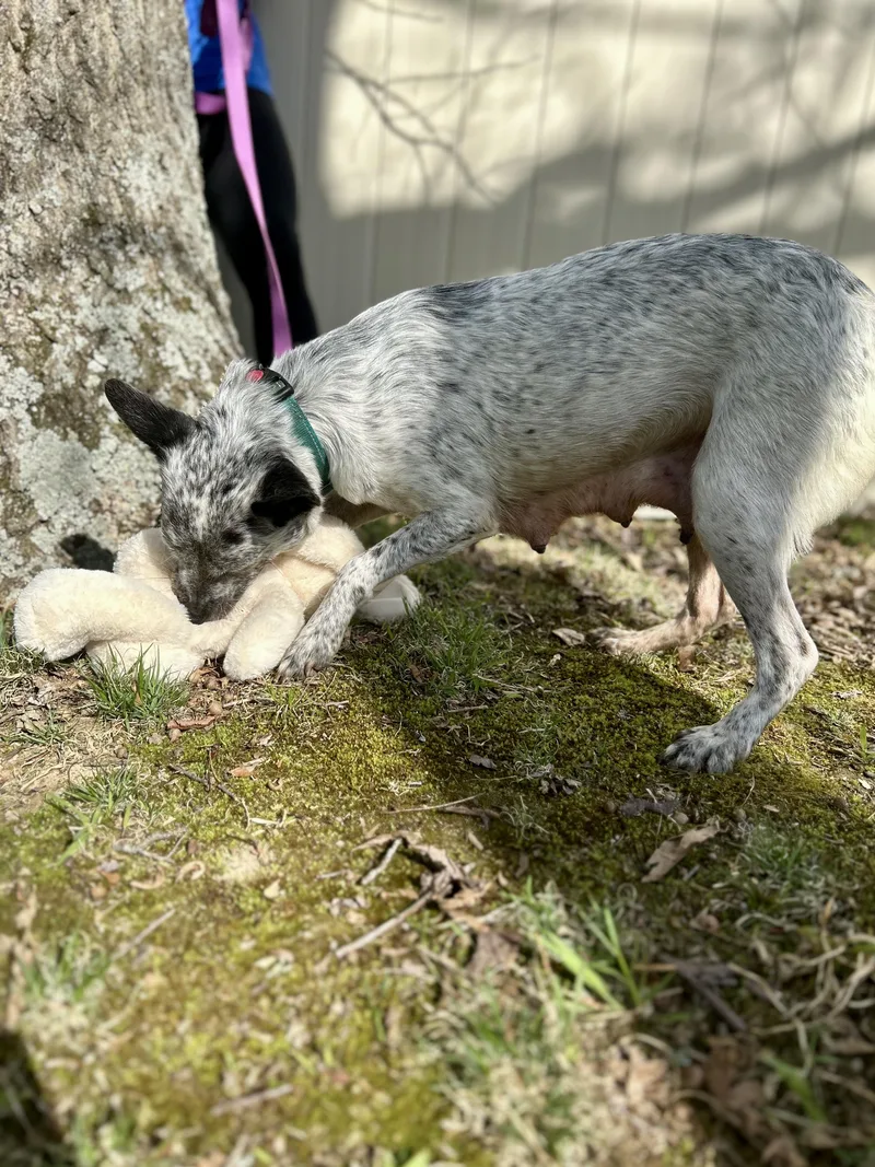 Mama Mya thumbnail 3