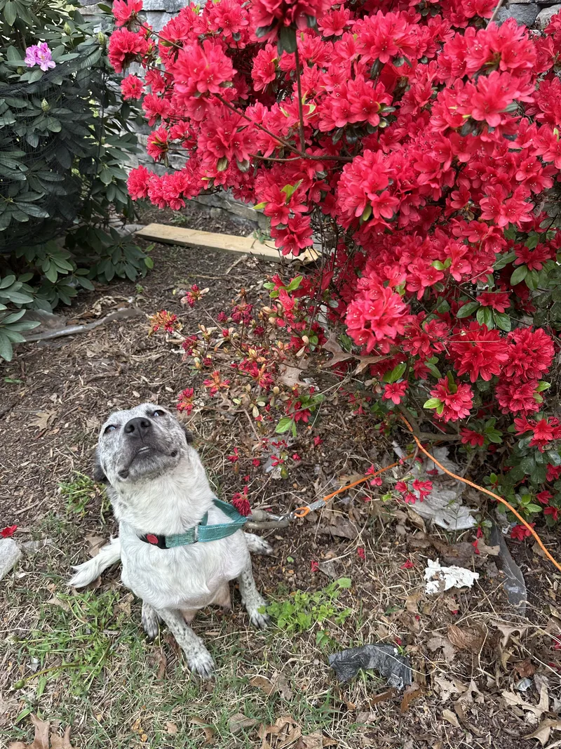 Mama Mya thumbnail 5