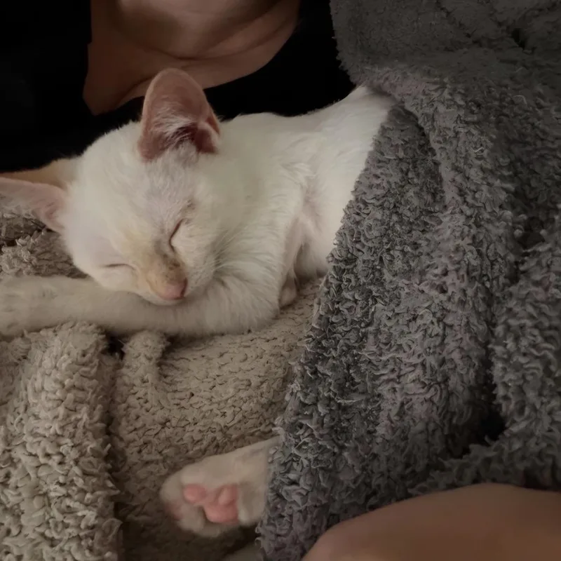 Dumpling thumbnail 3