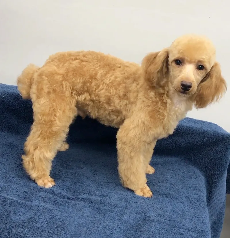 Mccartney thumbnail 3