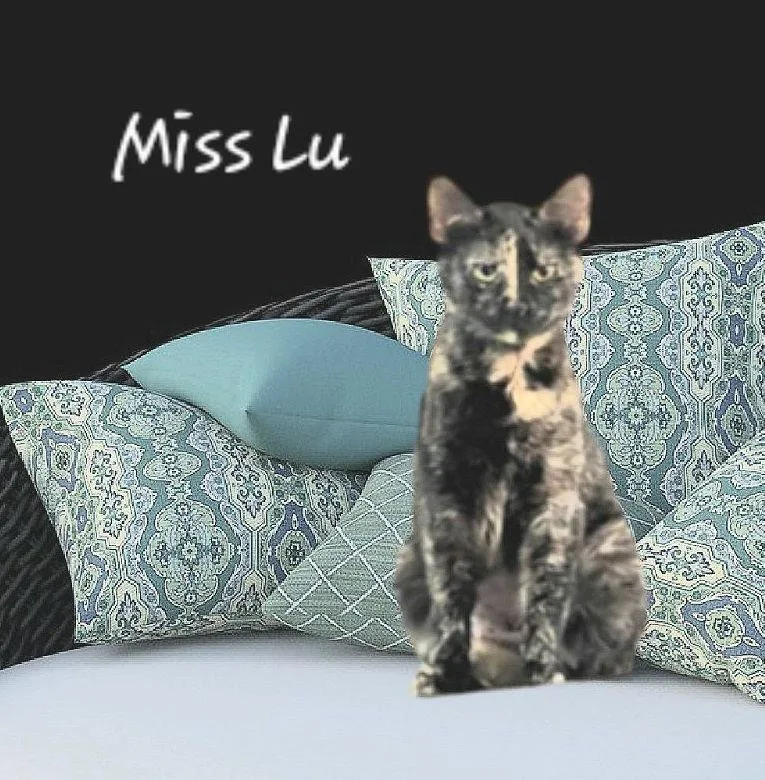 Lu Chilltortie thumbnail 2