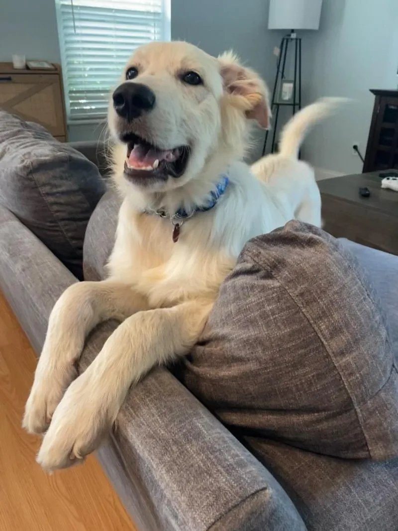 Yukon