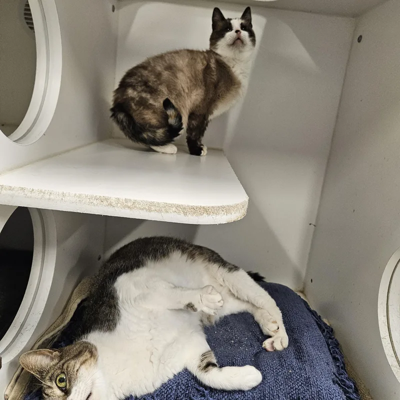 Pretty Girl And Jack thumbnail 2