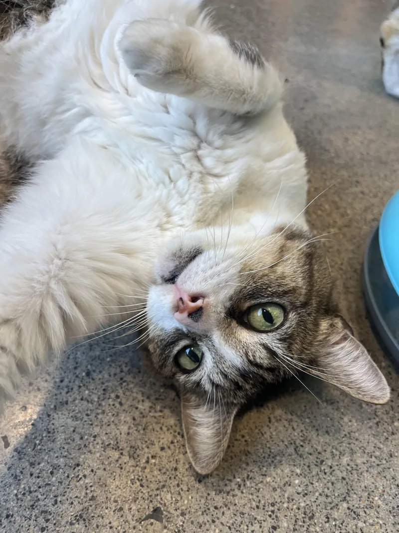 Pretty Girl And Jack thumbnail 3