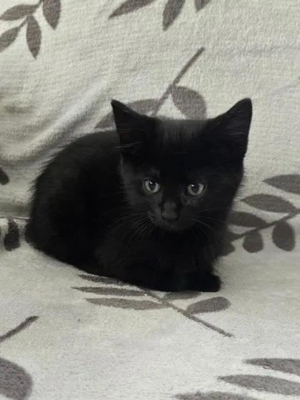 Matilda