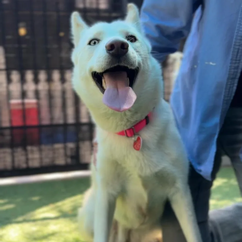 Spooky A thumbnail 2