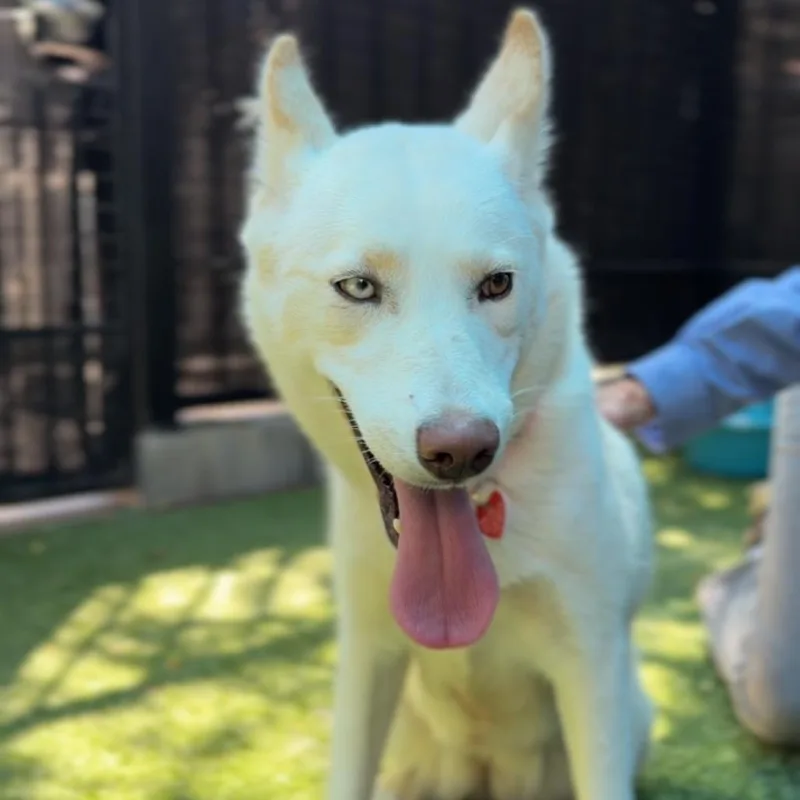 Spooky A thumbnail 3