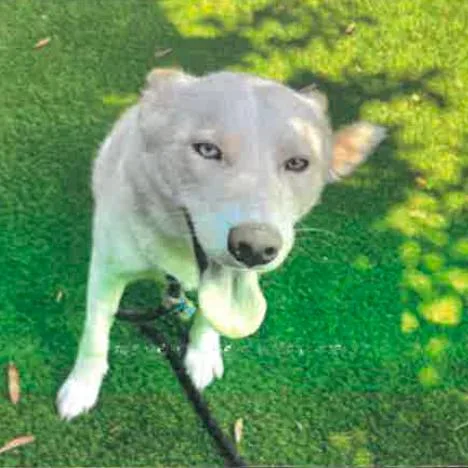 Spooky A thumbnail 4