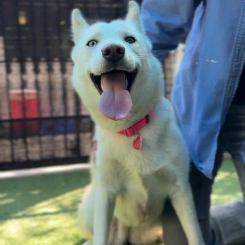 Spooky A thumbnail 5