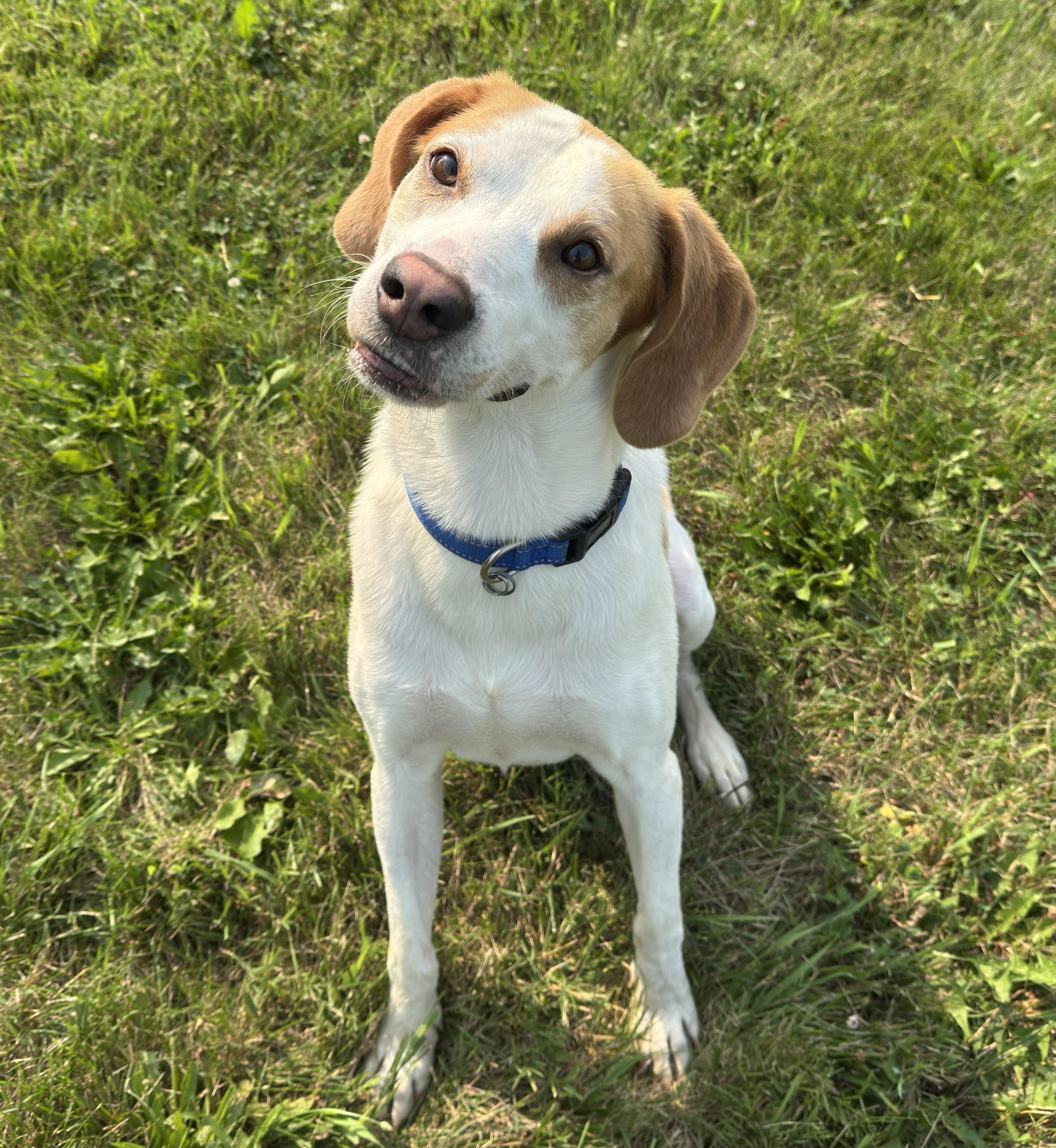 Winston